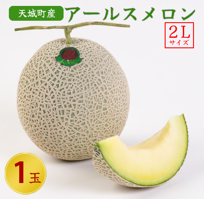 【2024年12月発送】徳之島 天城町産 農家直送 アールスメロン メロン マスクメロン 2L×1玉鹿児島県天城町11000果物・フルーツメロン・スイカ