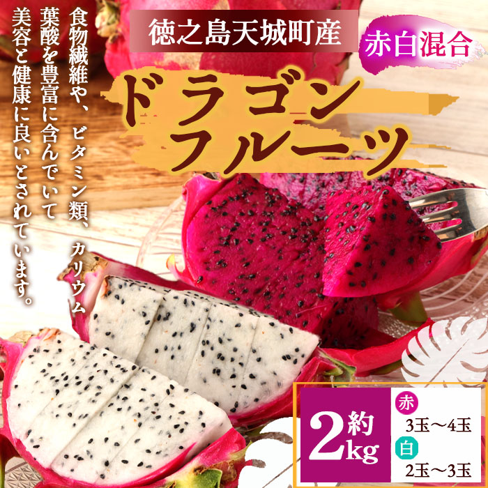 【2026年発送分】徳之島 天城町産 ドラゴンフルーツ 赤白混合 約2kg 家庭用 トロピカルフルーツ フルーツ 果物 果実 ピタヤ鹿児島県天城町13000果物・フルーツ