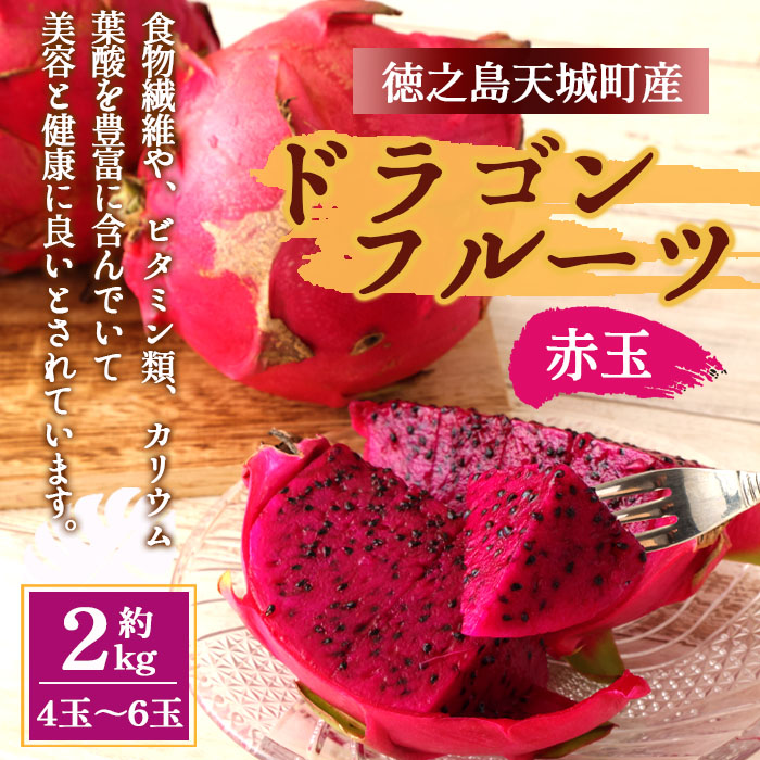 【2026年発送分】ご家庭用 徳之島 天城町産ドラゴンフルーツ 赤色 約2kg ピタヤ AJ-4-N鹿児島県天城町13000果物・フルーツ