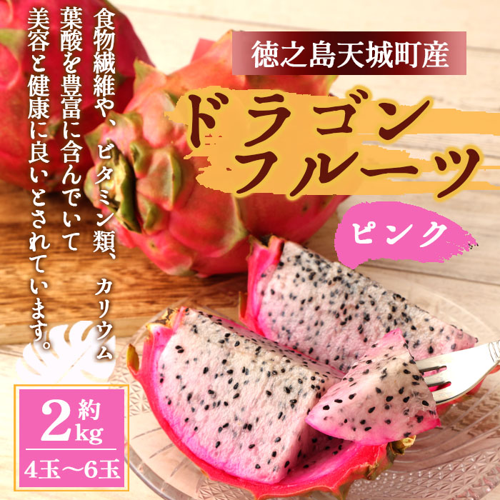 【2026年発送分】鹿児島県 徳之島 天城町産 ピンク ドラゴンフルーツ 約2kg トロピカルフルーツ ピタヤ AJ-5-N鹿児島県天城町13000果物・フルーツ
