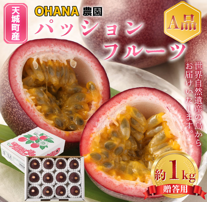 【2025年発送】先行受付 徳之島 天城町 パッションフルーツ1kg(贈答用) OHANA農園  フルーツ パッション BO-1-N鹿児島県天城町12000果物・フルーツその他 果物・フルーツ