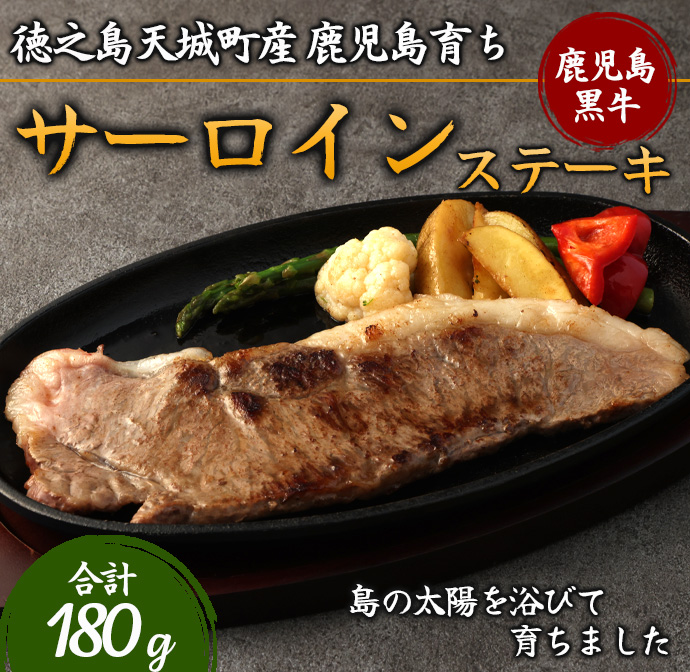 V V钬Y 炿 јa Xe[L 180g T[C TCYV钬17000