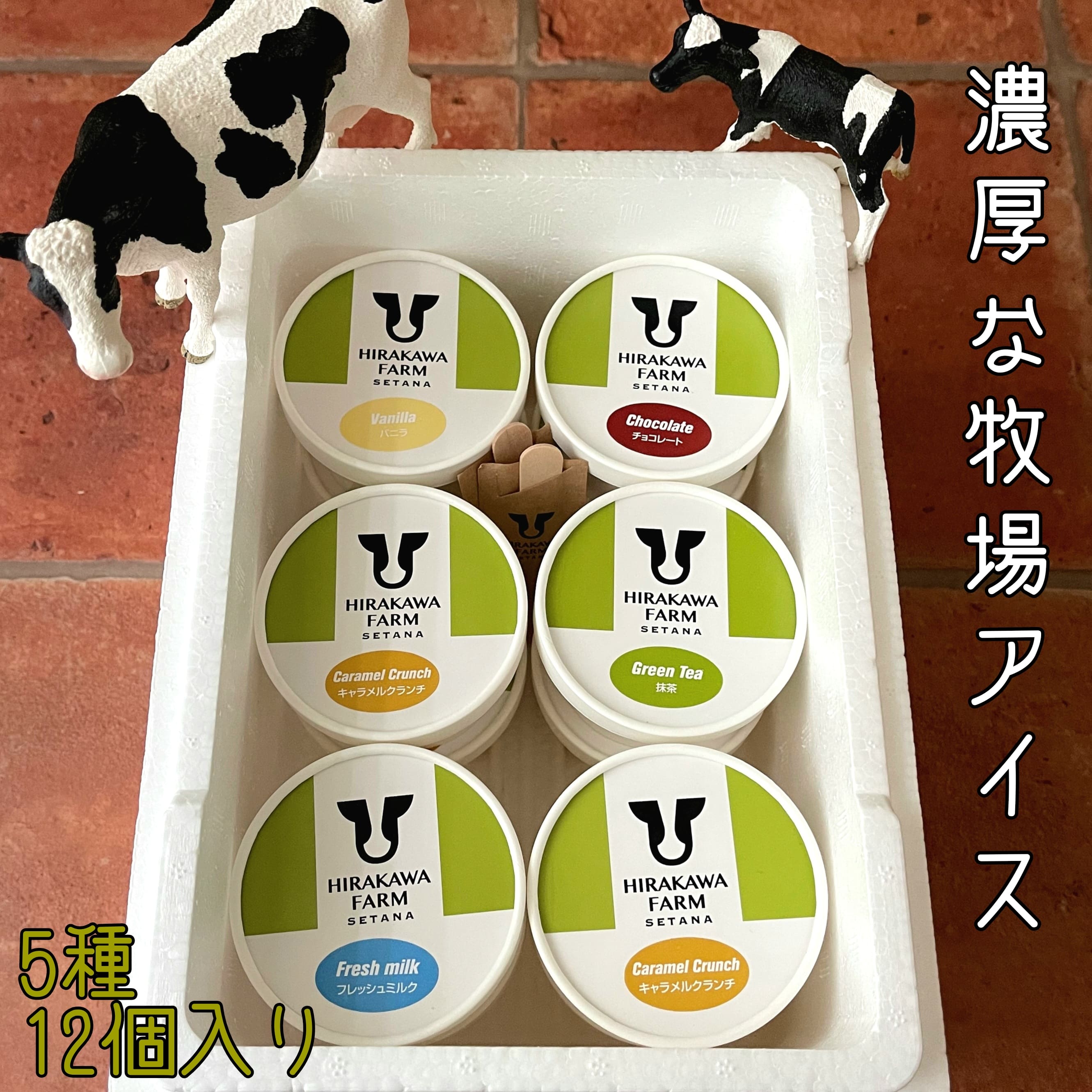 【北海道産搾りたて生乳使用】ひらかわ牧場のアイスクリーム 定番の5種12個セット フレッシュミルク バニラ チョコ キャラメルクランチ 抹茶 デザート スイーツ お取り寄せ ギフト せたな