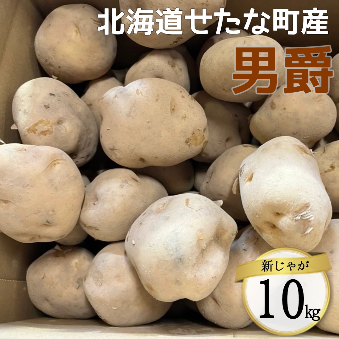 【2025年10下旬から順次発送】【令和7年産】北海道 せたな町産 男爵 10kg 男爵いも 芋 新じゃが じゃがいも 野菜 ふるさと納税北海道せたな町15000野菜・きのこじゃがいも・イモ類