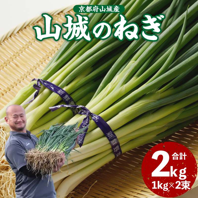 山城のねぎ 2kg京都府木津川市14000野菜・きのこ玉ねぎ・ねぎ