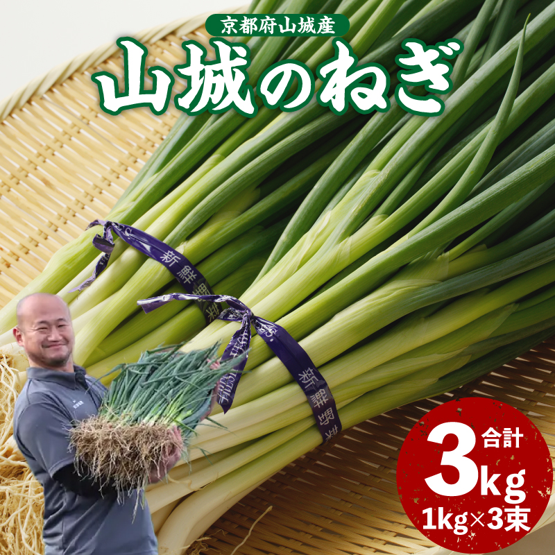 山城のねぎ 3kg京都府木津川市17000野菜・きのこ玉ねぎ・ねぎ