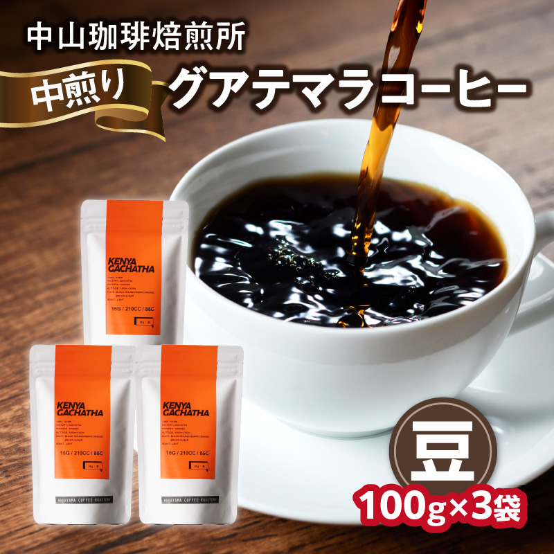 自家焙煎コーヒー 中煎り グアテマラ【豆】100g×3袋京都府木津川市11000お茶・飲料