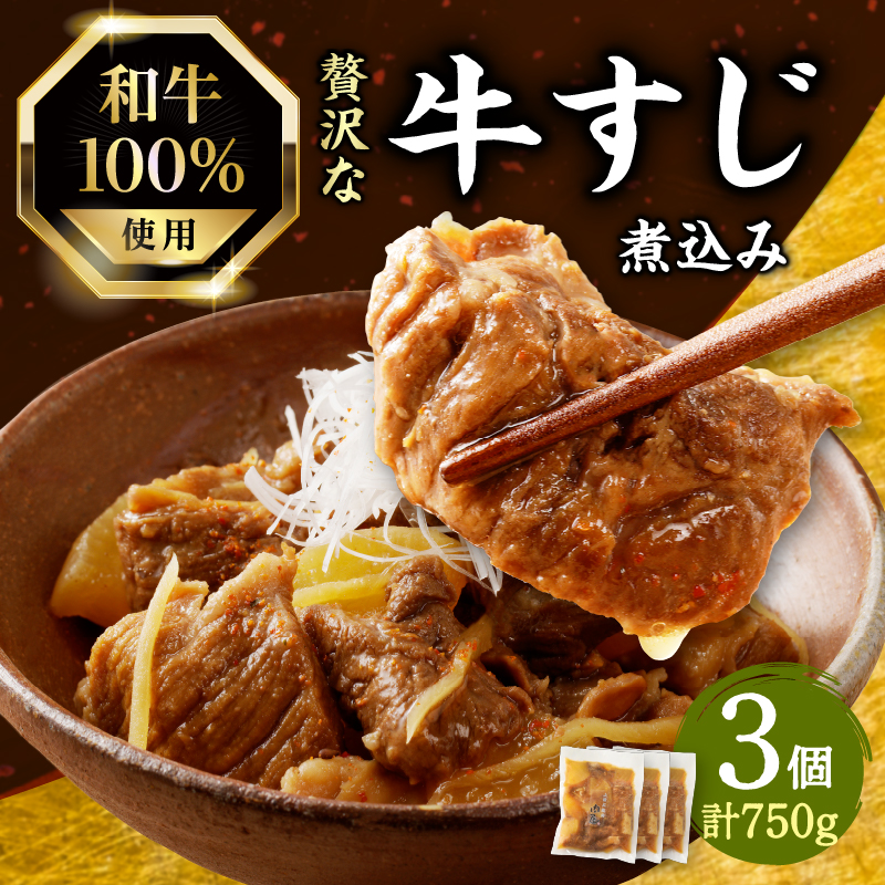 和牛100%の贅沢なすじ煮込み250g×3個 750g京都府木津川市11000鍋セット・総菜・加工食品