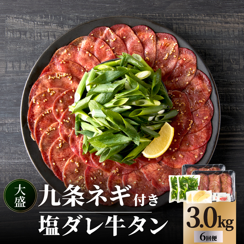 ≪定期便全6回≫【大盛九条ネギ】塩ダレ牛タン500g京都府木津川市114000肉