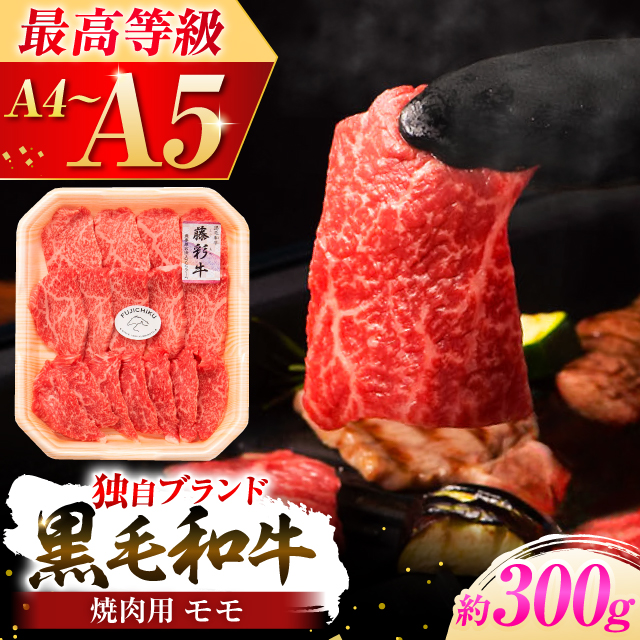 tW`N ʋ  ēp 300g јa  YyЃtW`Nz [BHAD119]F{ez19000