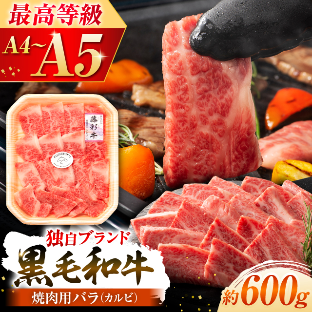 ܂ƍјauʋvo(Jr)Ăp 600g yЃtW`Nz [BHAD122]F{ez34000