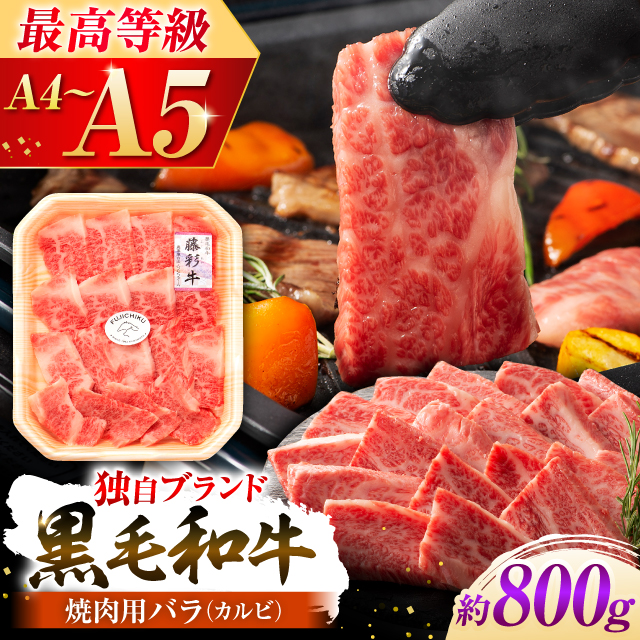 ܂ƍјauʋvo(Jr)Ăp 800g yЃtW`Nz [BHAD123]F{ez44000