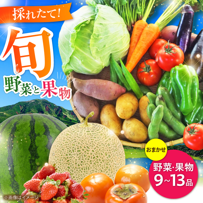 【数量限定】菊陽町特産品 「野菜・果物などの詰め合わせ」 / 新鮮 詰合せ フルーツ セット 旬 おまかせ にんじん ごぼう 直売所 やさい くだもの 熊本県 特産品 菊陽町 【有限会社さんふれ