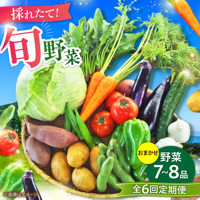 yS6ցzyʌz{  Zbg (3kg/7-8ix) /  VN { l Zbg F{ ez Yi yLЂӂꂠz [BHAK025]F{ez59000؁Ê̑