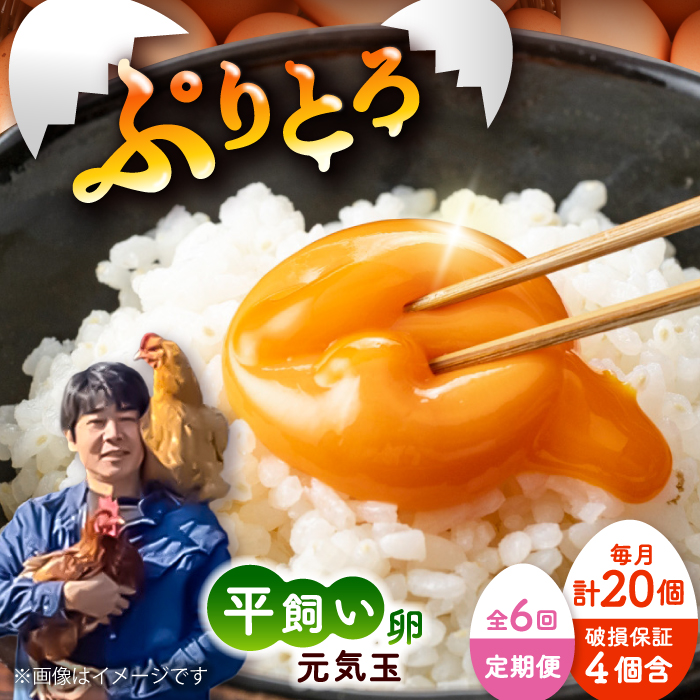 yS6ցzVN܂@C v20(10×2pbN) /  ՂՂ VN ʎq Ic ܂͂ H {  Z  F{ ezy҂t@[z [BHAP004]