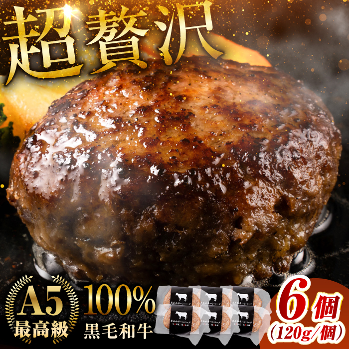 јa no[O 6 (120g×1×6pbN) yВ{Yz [BHAQ001]F{ez12000HinE\[Z[Wj