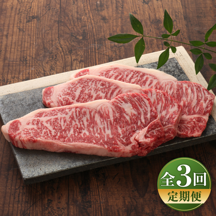 yS3ցzyʌzyGIF؁z܂ƂT[CXe[L 200g×3 / ez  F{  ɂ niku uh |݁yL O{Yz [BHAS066]F{ez138000