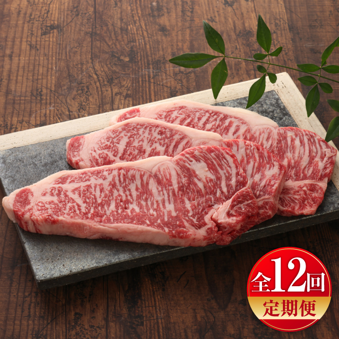 yS12ցzyʌzyGIF؁z܂ƂT[CXe[L 200g×3 / ez  F{  ɂ niku uh |݁yL O{Yz [BHAS068]F{ez552000