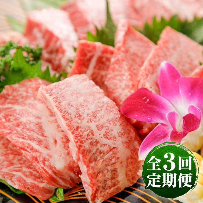 yS3ցzGIF ܂Ƃ ē 500g v1.5kg / ~ i   F{ ezyez(hq)z [BHAZ026]F{ez56000