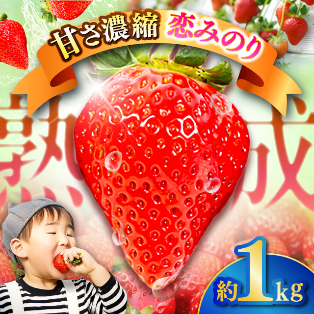 ys\zy2026N1Jnz F{Y  ݂̂ v1kg (250g×4pbN) ʕ t[c Â C`S  F{ ezyL g_z [BHBM002]F{ez20000ʕE