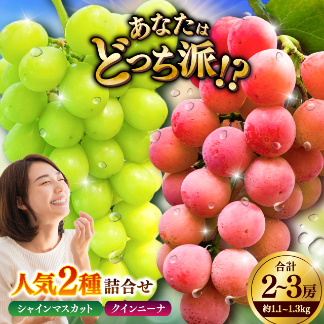 y萔ʁzy8{JnzVC}XJbg NCj[i lߍ킹 1.1kg`1.3kg v2`3[yƂ_[z [BHBO003]F{ez16000ʕEt[c}XJbgEԂǂ