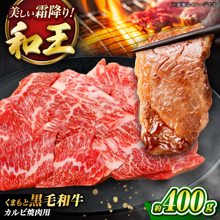 ܂ƍјa uav Jrēp 400g (400g×1pbN) /  a јa  Jr  󏭕 F{ ezyern_Ƌgz [BHBQ002]F{ez17000