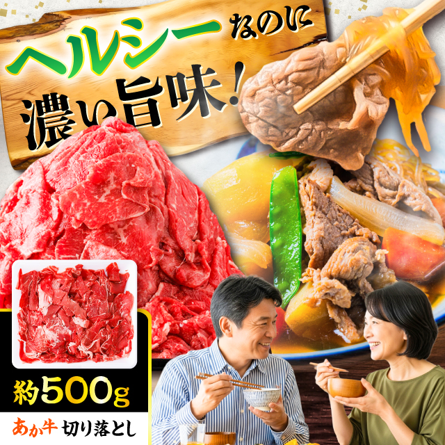  ؂藎Ƃ 500g / F{ ԋ   јa  Ⓚ Y  a ؂藎Ƃ ܐ؂y܉Eqt[Yz [BHCY001]F{ez14000