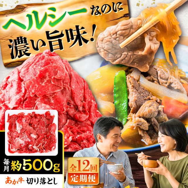 yS12ցz ؂藎Ƃ 500g  / F{ ԋ   јa  Ⓚ Y  a ؂藎Ƃ ܐ؂y܉Eqt[Yz [BHCY004]F{ez161000