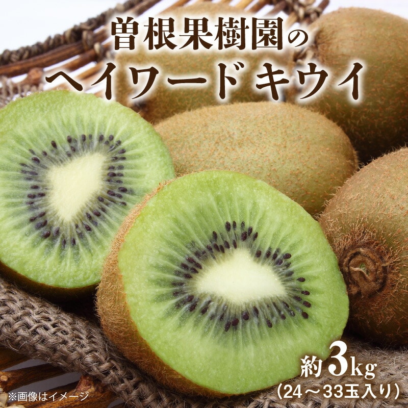 【ふるさと納税】【配送不可地域:北海道・沖縄県・離島】曽根果樹園のヘイワードキウイ約3kg(24〜33玉入り)  秋 旬香川県三豊市16000果物・フルーツ