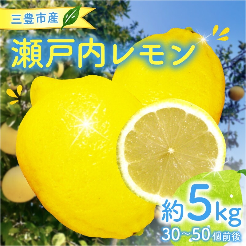 【ふるさと納税】【配送不可地域:北海道・沖縄県・離島】 三豊市産 瀬戸内レモン 約5kg(30〜50個前後) 檸檬 れもん 爽やか 香り レモン 国産 lemon オーガニック 瀬戸内 有機レモン 通