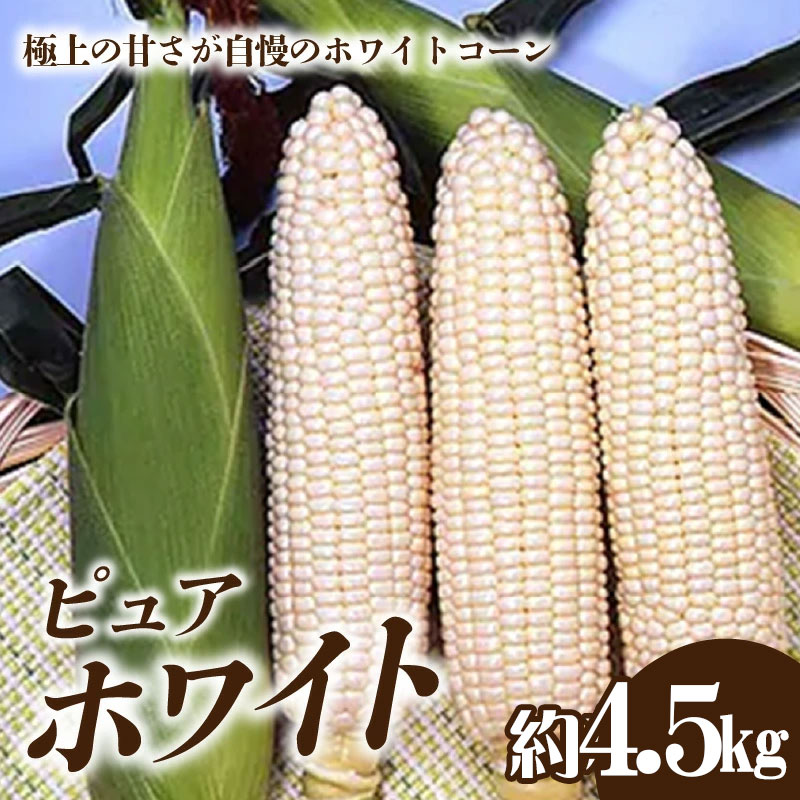 【ふるさと納税】ホワイトコーン「ピュアホワイト」約4.5kg香川県三豊市14000野菜・きのこ