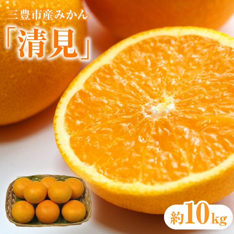 【ふるさと納税】【先行予約】【配送不可地域:北海道・沖縄県・離島】 三豊市産みかん「清見」約10kg  秋 旬香川県三豊市18000果物・フルーツ