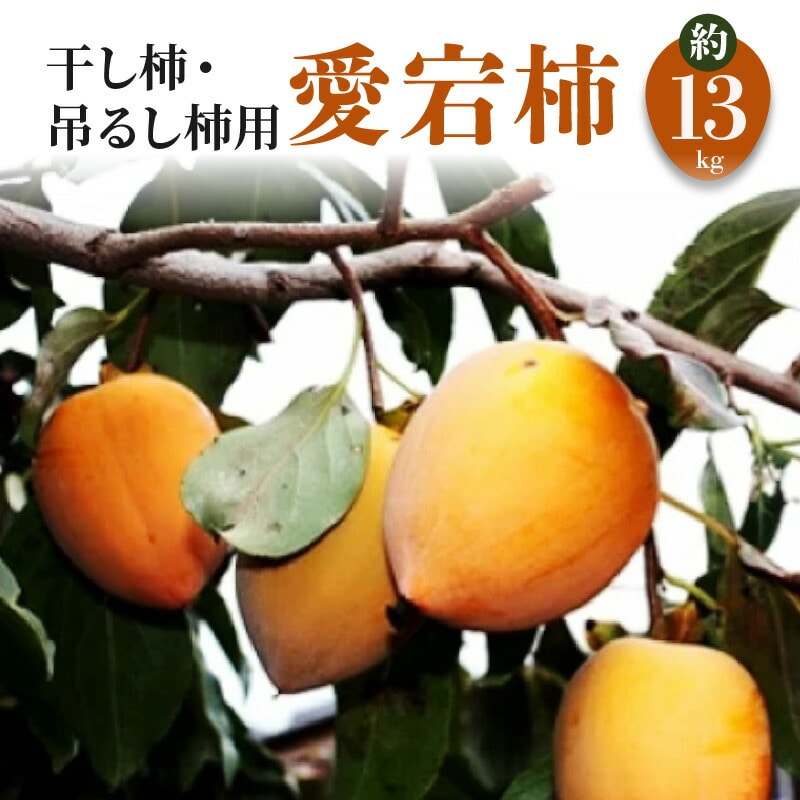 【ふるさと納税】【締め切り間近:11月20日まで】【配送不可地域:北海道・沖縄県・離島】干し柿・吊るし柿用「愛宕柿」約13kg  柿 かき kaki 直送 旬 健康効果 栄養価  フルーツ 果物 お取り