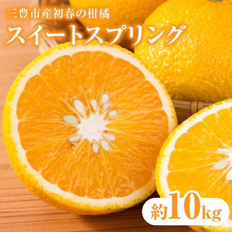 yӂ邳Ɣ[ŁzyzsnFkCEꌧEzOLsYt̊kuXC[gXvOv10kg  H {쌧OLs15000ʕEt[c