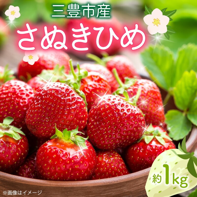 【ふるさと納税】【先行予約】【配送不可地域:北海道・沖縄県・離島】 イチゴ さぬきひめいちご 約 1kg 250g 4パック 三豊市産 やわらかな食感 果汁があふれる ジューシー 果肉 香り豊か 甘