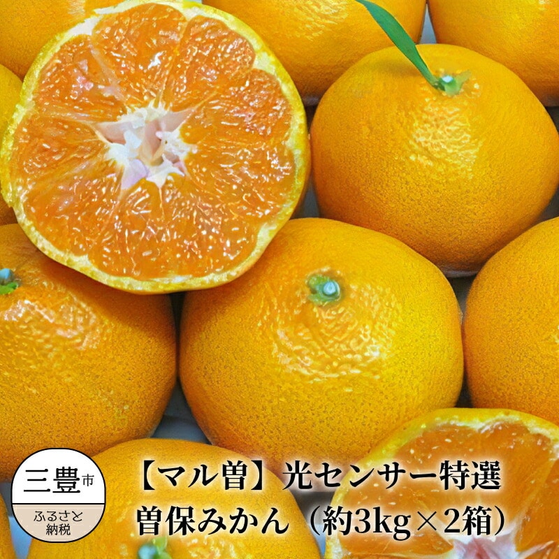 yӂ邳Ɣ[Łzys\zyzsnFkCEꌧEz݂ ]ۂ݂ ZT[I 3kg×2 L`STCY t[c ʕ ʎ k fU[g XC[c Â x ʏ`