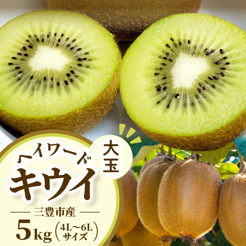 【ふるさと納税】三豊市産 ヘイワードキウイ【大玉】5kg(4L〜6Lサイズ 40〜35玉前後)香川県三豊市19000果物・フルーツ