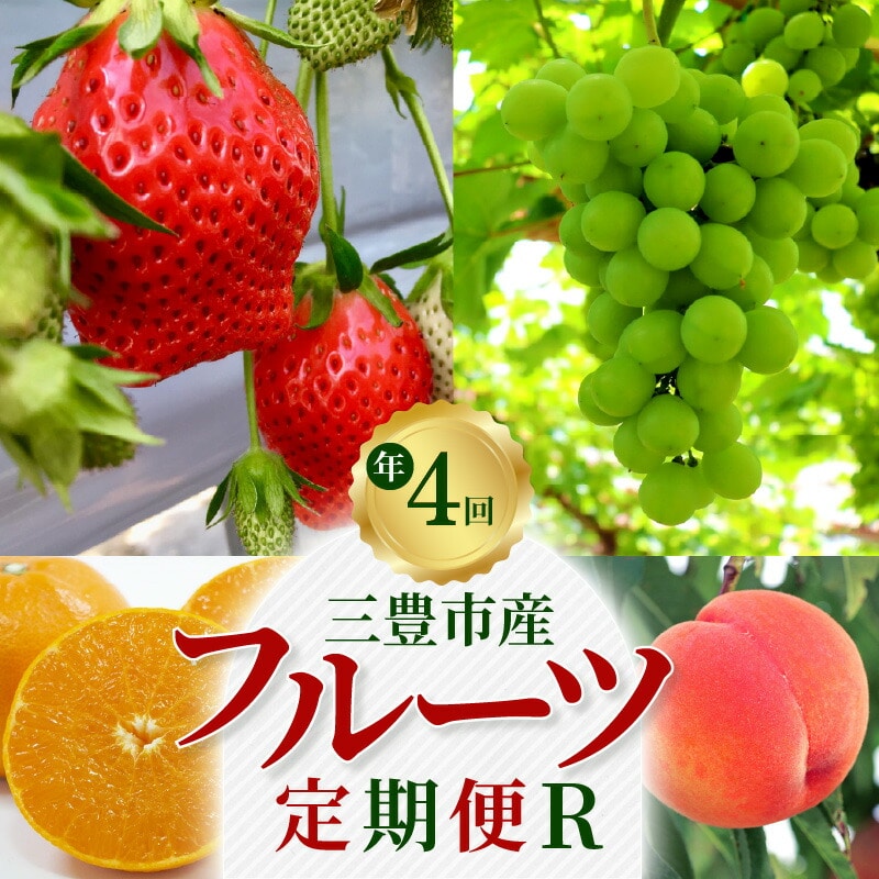 【ふるさと納税】【配送不可地域:北海道・沖縄県・離島】定期便 フルーツ R 年4回 人気 三豊市産 いちご さぬきひめ 約400g 桃 約 2kg シャインマスカット 1房 約800g 高糖度 石地みかん 約5kg