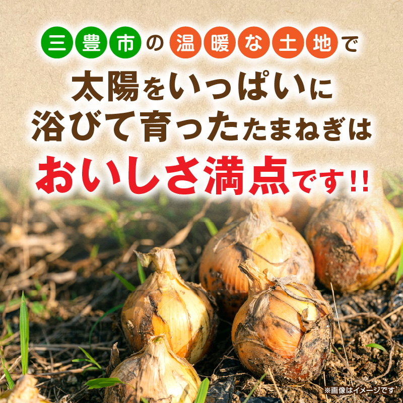 【ふるさと納税】【先行予約】 三豊市のたまねぎ 約10kg香川県三豊市11000野菜・きのこ玉ねぎ・ねぎ
