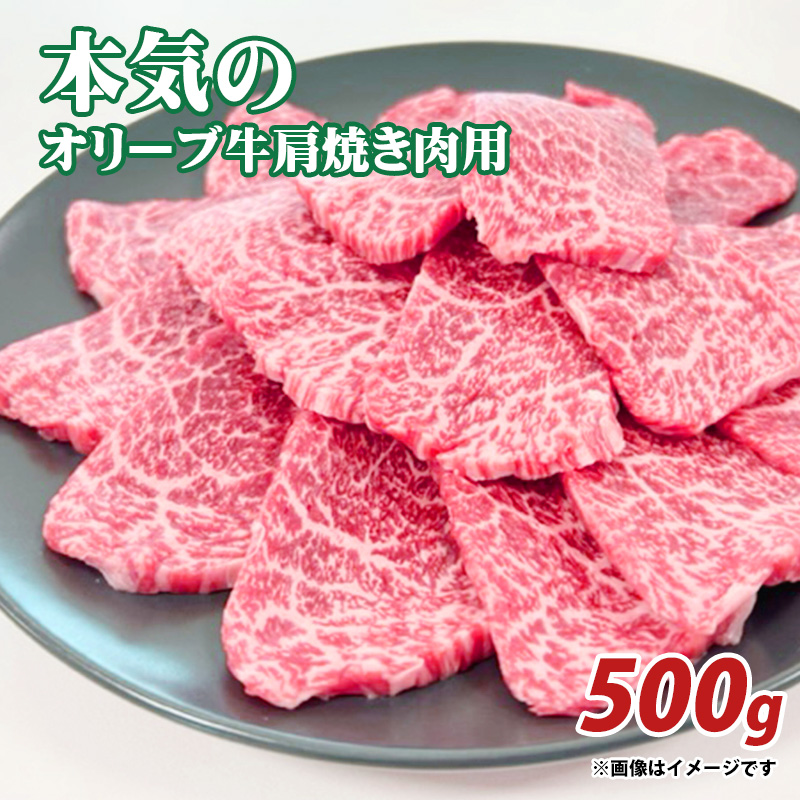 【ふるさと納税】本気のオリーブ牛肩焼肉用500g  秋 旬香川県三豊市17000肉