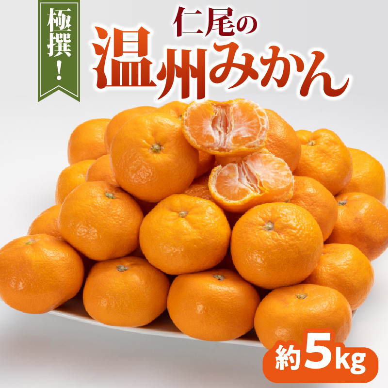 【ふるさと納税】みかん  温州みかん 極撰 約 5kg [ フルーツ 果物 果実 柑橘 デザート スイーツ 甘い 果汁 常温 食品 国産 香川県 三豊市 お取り寄せ お取り寄せグルメ ギフト プレゼント み
