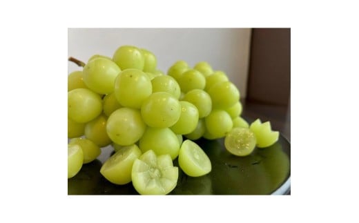 yӂ邳Ɣ[Łz VC}XJbg Ȃ ʌ V܉ʕI肷̃VC}XJbg 750gi1[j [ }XJbg t[c Yi  Ԃǂ 햳 蕨 fU[