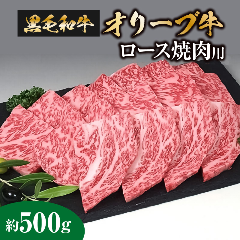 【ふるさと納税】黒毛和牛 オリーブ牛 ロース 焼肉用 約500g [ 国産 ブランド牛 讃岐牛 牛肉スライス 小分け 冷凍 贅沢焼肉 ごちそう肉 贈り物 お取り寄せグルメ ギフト 冷凍保存 BBQ 冷凍  三