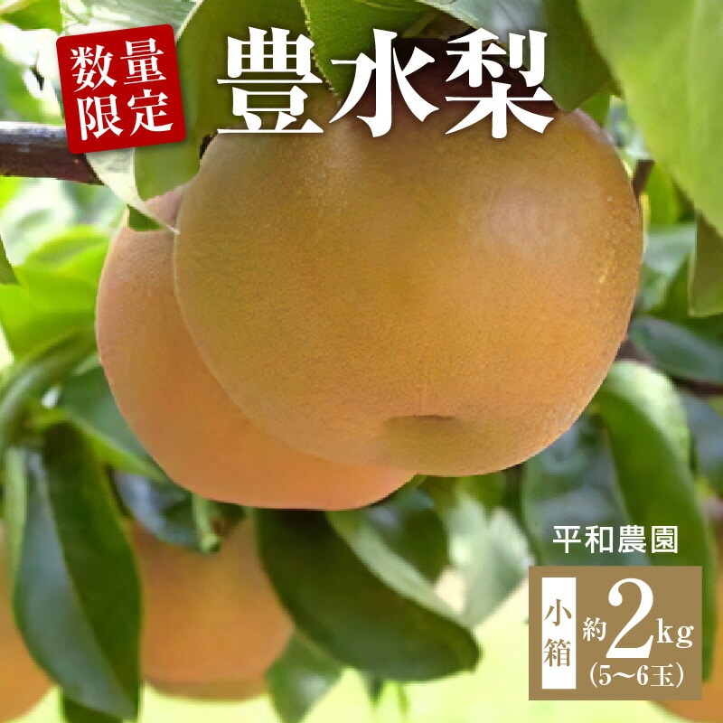 【ふるさと納税】【配送不可地域:北海道・沖縄県・離島】 数量限定!平和農園 豊水梨 小箱(5〜6玉)<約2kg>香川県三豊市16000果物・フルーツ