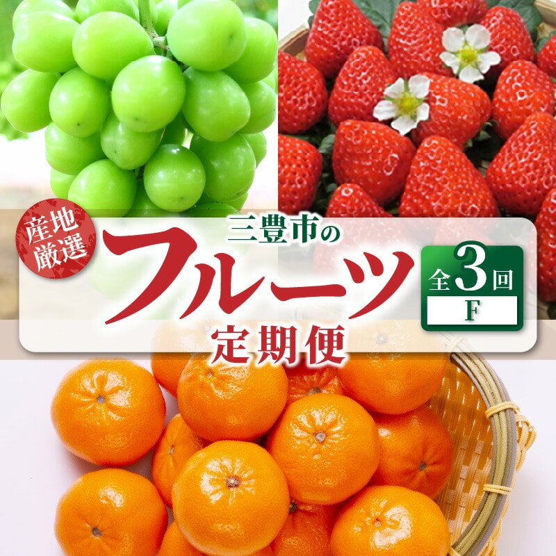 【ふるさと納税】【配送不可地域:北海道・沖縄県・離島】定期便 3回 シャインマスカット 1房 糖度チェック 実施 さぬきひめ 約250g 4パック いちご 果実 大きい 小原早生みかん 5kg  甘くて