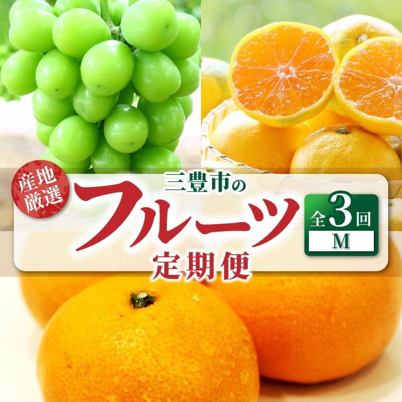 【ふるさと納税】【配送不可地域:北海道・沖縄県・離島】定期便 3回 フルーツ シャインマスカット 1房 糖度チェック 実施 ゆら早生みかん 果汁たっぷり 宮川早生みかん S〜Lサイズ 甘