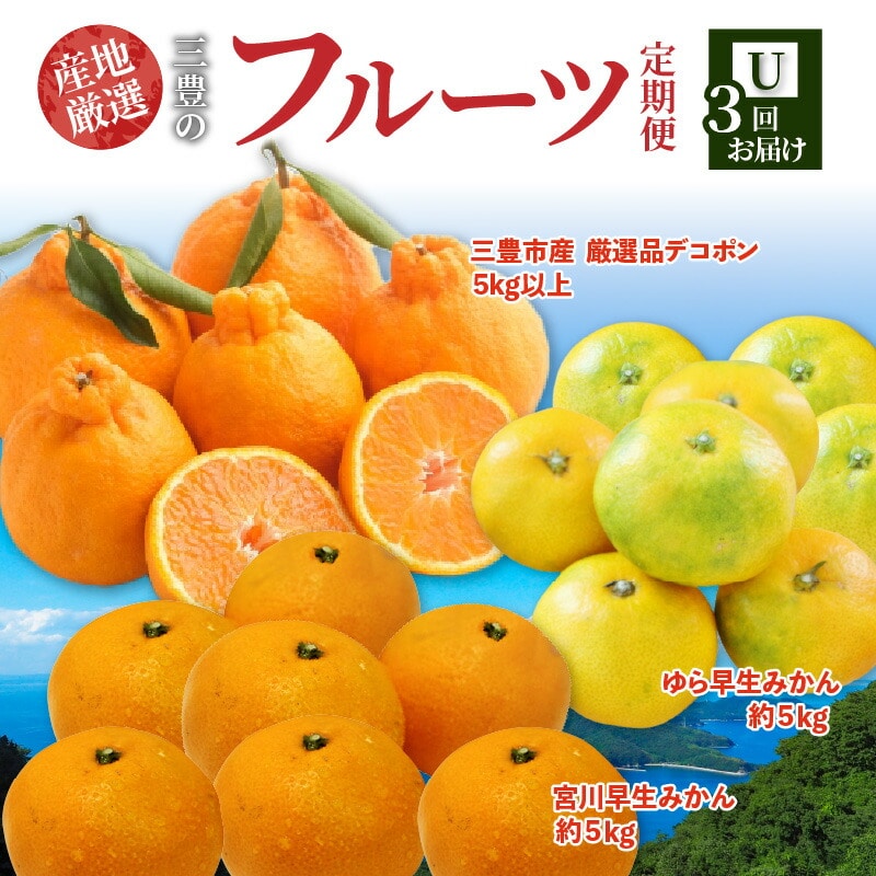 【ふるさと納税】【配送不可地域:北海道・沖縄県・離島】定期便 3回 フルーツ ゆら早生みかん 果汁たっぷり 三豊市産 厳選品 デコポン 宮川早生みかん S〜Lサイズ 甘み 酸味 旬の季節