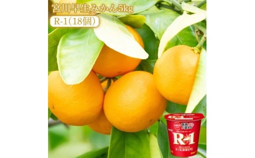 【ふるさと納税】【先行予約】【配送不可地域:北海道・沖縄県・離島】宮川早生みかん5kgと四国明治株式会社で作られた プロビオヨーグルトR-1 18個香川県三豊市25000果物・フルーツ