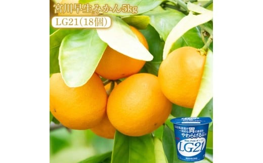 【ふるさと納税】【先行予約】【配送不可地域:北海道・沖縄県・離島】宮川早生みかん5kgと四国明治株式会社で作られた プロビオヨーグルトLG21 18個香川県三豊市26000果物・フルーツ