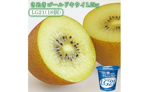 【ふるさと納税】【先行予約】【配送不可地域:北海道・沖縄県・離島】さぬきゴールドキウイ1.2kg(化粧箱) と四国明治株式会社で作られた プロビオヨーグルトLG21 18個香川県三豊市30000果